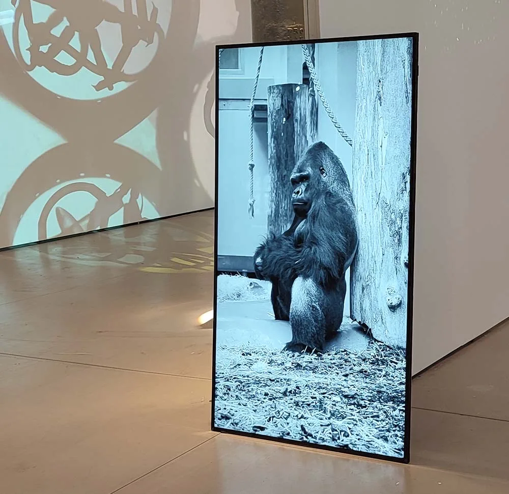 
              „Primates misplaced“, 10. Asia-Europe Mediations Biennale, artistanbul FESHANE, Istanbul, 2023              