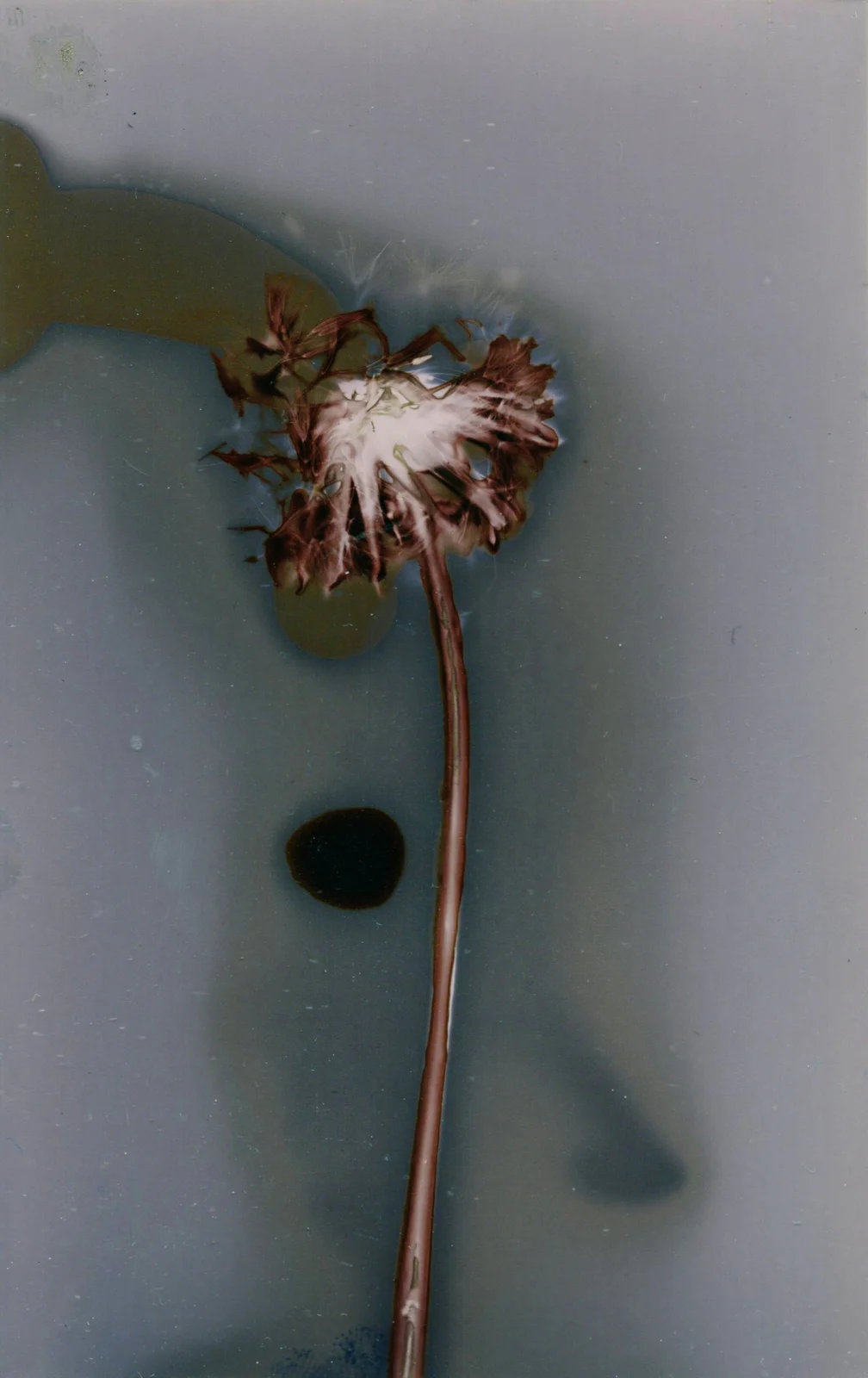 Szene aus dem Film Claudia Pilsl