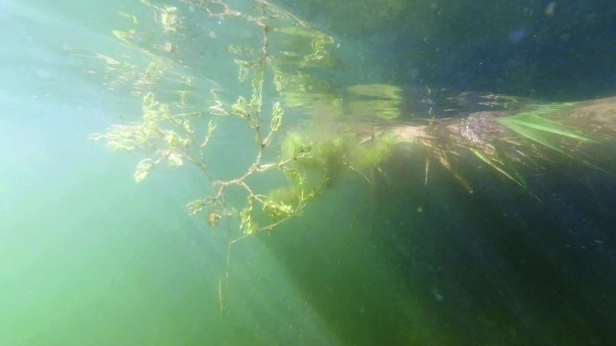 
              Videostill "Die Ebenen des Wassers", 2025              