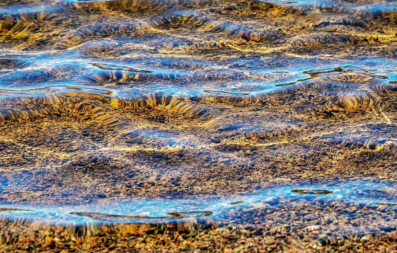 
                            Lesung und Podiumsdiskussion "wasser"              