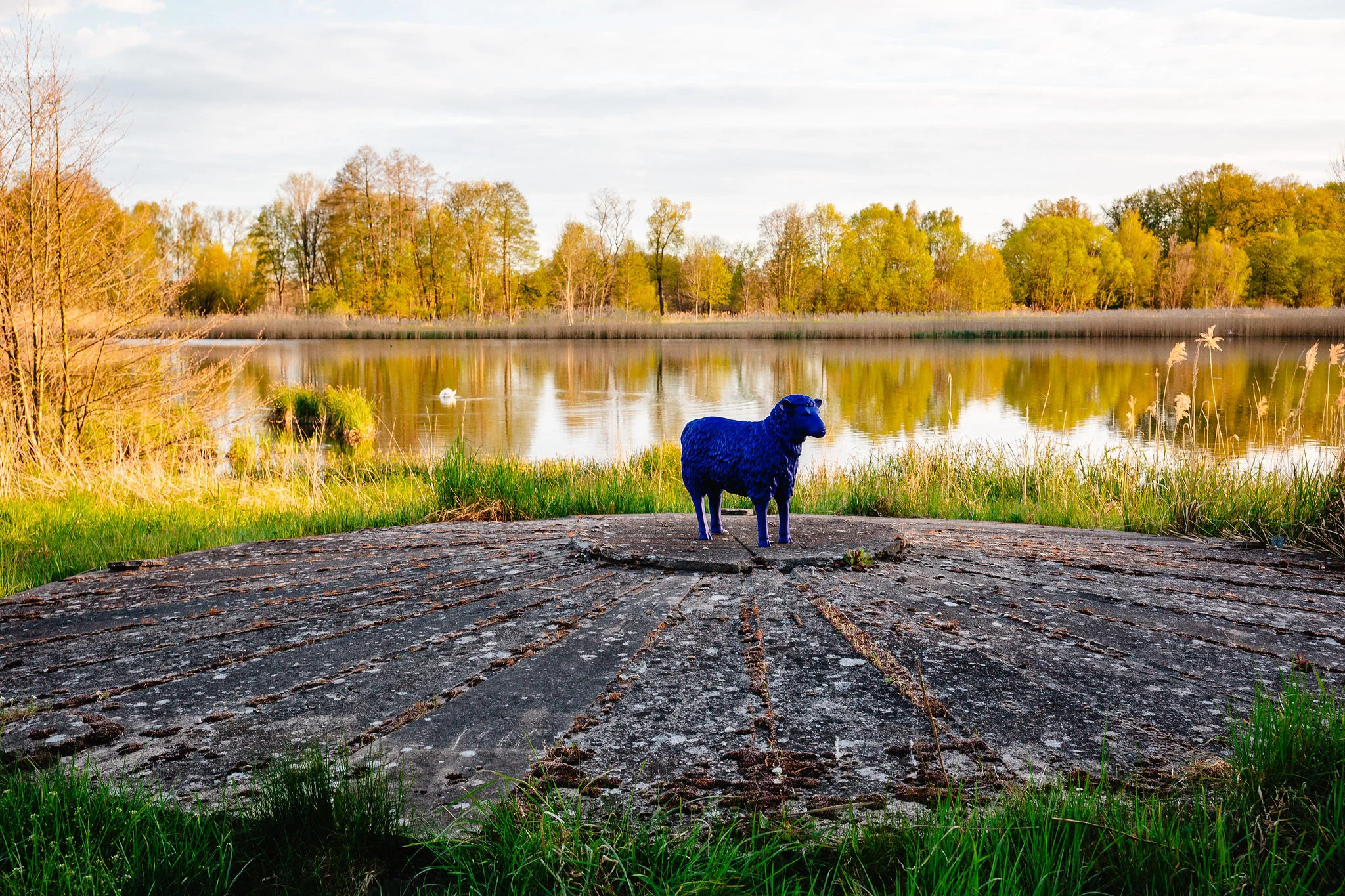 Jamlitz // Landkreis Dahme-Spreewald